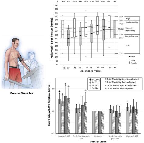 blood pressure dropped during chemical stress test|systolic blood pressure during stress testing.